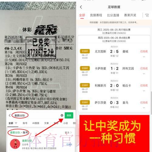世界杯竞猜投注：如何在风险与收益之间寻求最优平衡